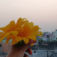 Barani Narayanan