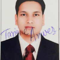 Tarique Anwer