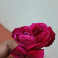 RITIK Rajbhar